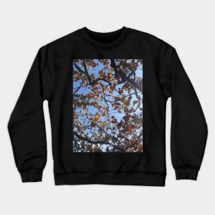 Grape leaf vine in akrotiri Crewneck Sweatshirt